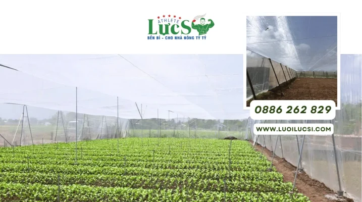 Cách Tính Số Cuộn Lưới Chắn Côn Trùng Cho Nhà Lưới 500m²–1.000m²