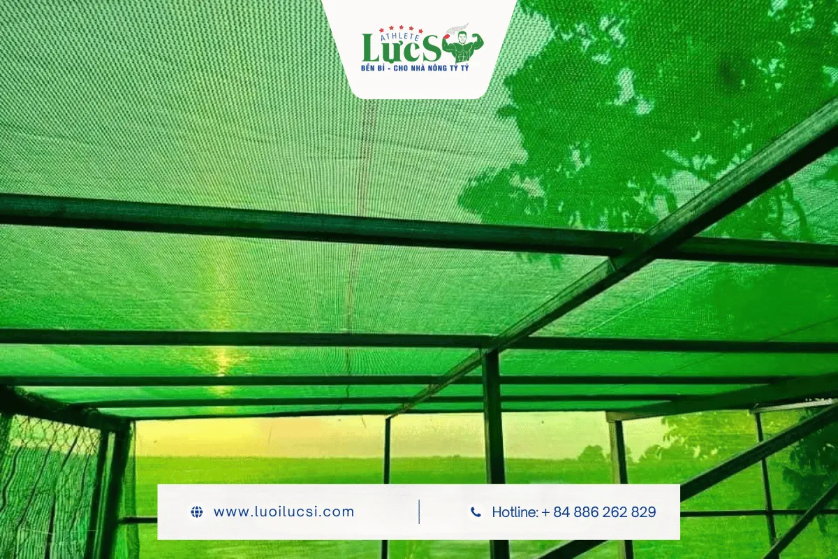 Chọn Độ Phủ Lưới Che Nắng Nào Cho Từng Nhóm Cây Trồng? 1 Độ Phủ Lưới Che Nắng 50%, 60%, 70%, 80% Có Nghĩa Là Gì?