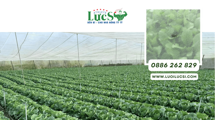 Nhà Lưới 1.000m² Cần Những Vật Tư Gì? Checklist Dự Toán Cho Farm