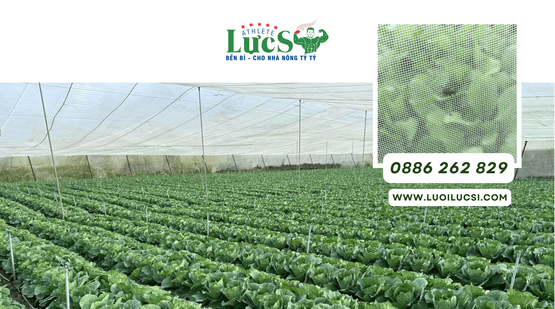 Nhà Lưới 1.000m² Cần Những Vật Tư Gì? Checklist Dự Toán Cho Farm