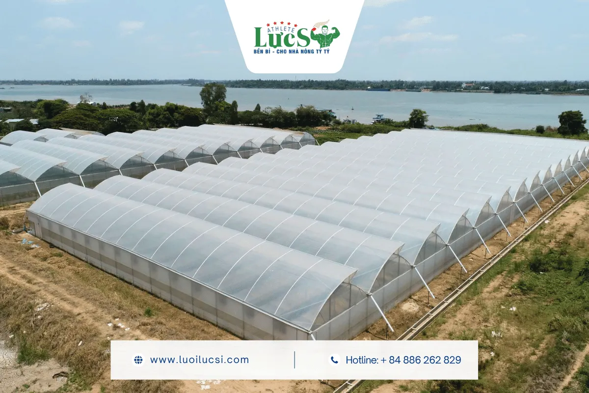 LỰC SĨ - Sản Xuất Và Phân Phối Lưới Chắn Côn Trùng 32 Mesh Cho Thị Trường Campuchia 2 Năng Lực Sản Xuất Và Lợi Thế Xuất Khẩu Của LỰC SĨ