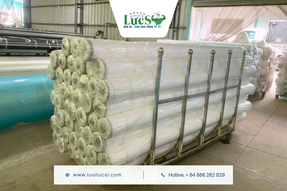 LỰC SĨ - Sản Xuất Và Phân Phối Lưới Chắn Côn Trùng 32 Mesh Cho Thị Trường Campuchia 1 Tại Sao Lưới Chắn Côn Trùng 32 Mesh Là Lựa Chọn Tối Ưu Tại Campuchia?