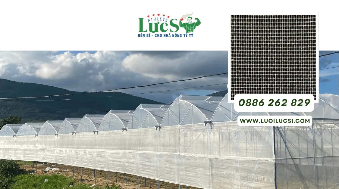 LỰC SĨ - Sản Xuất Và Phân Phối Lưới Chắn Côn Trùng 32 Mesh Cho Thị Trường Campuchia